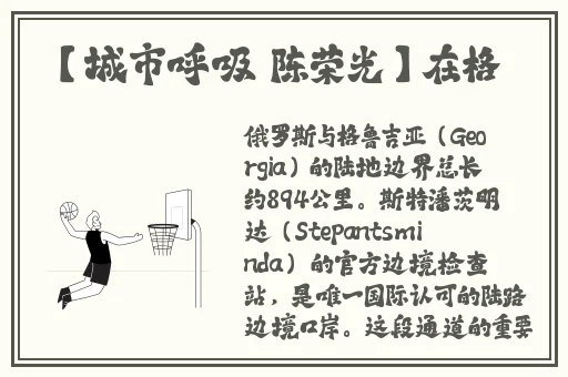 沈娜娜苏语棠特工姐妹